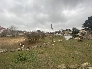 torpag satisi: 46 sot, Biznes üçün, Maklerlər narahat etməsin, Kupça (Çıxarış) — 2