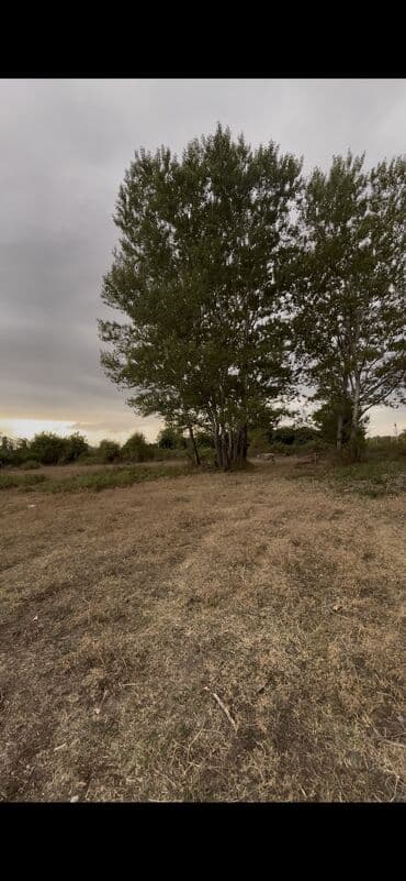 fatmayı torpaq: 10 sot, Kupça (Çıxarış) — 10