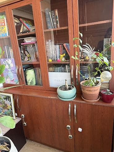 Kitab vitrinli şkaf və aşağı tumbaların dəsti - Material