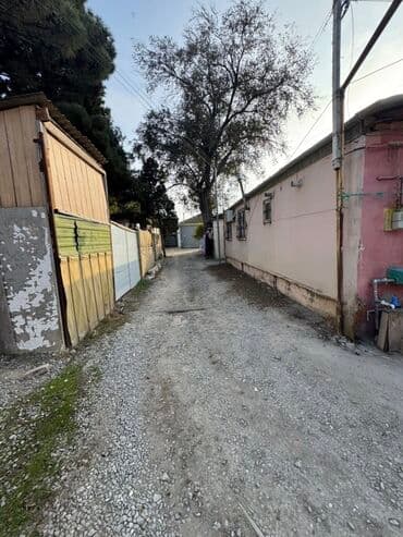 saray mtk 67 kv: 2 комнаты, 65 м² — 3