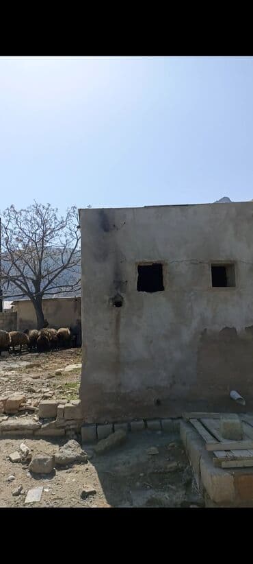 memar ecemi kiraye ev: 10 sot, Mülkiyyətçi — 9