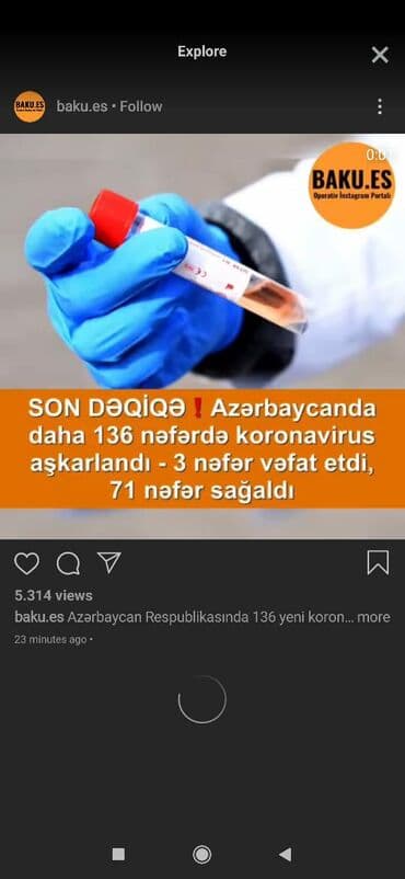 masin tortlari: Laqonda tutacağı — 2