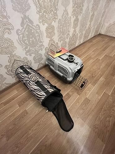 Ev heyvanları üçün daşıma və aksesuar dəsti hamısı birge verilir — 6