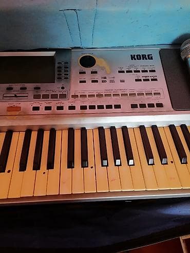 İdman və hobbi: Sintezator, Korg — 4
