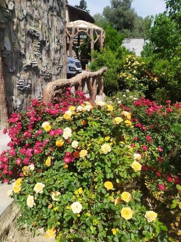 yeni evlər: Buzovna 5 otaqlı, 280 kv. m, Yeni təmirli — 6