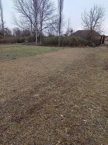 18 sot, Tikinti, Mülkiyyətçi, Kupça (Çıxarış) — 3