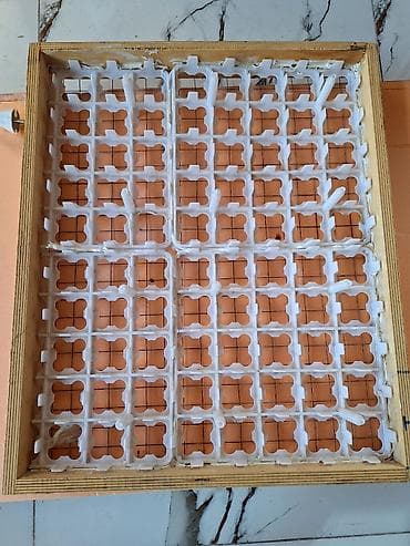 Ticarət printerləri və skanerləri: Salam inkubator ucun lazim olan aksesuarlar satilir — 6