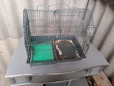 bülbül qəfəsi: Quş qəfəsi – iki bölməli, metal konstruksiya Məhsul təsviri: - — 1