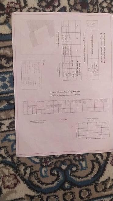 torpag sahesi: Tikinti — 10