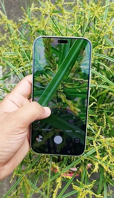 komputer ekranı: Honor 60, 256 GB, rəng - Qızılı, İki sim kartlı — 3