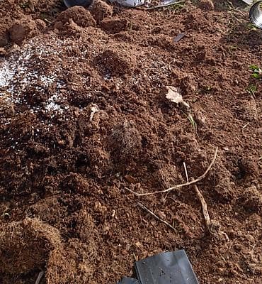 arxideya gulu: Bağ torpağı və torf qarışığı - Bitkilər, gül kolları, tərəvəz və — 1