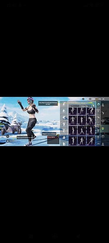 PUBG Mobile oyun hesabı – zəngin kosmetikalar və nadir əşyalar