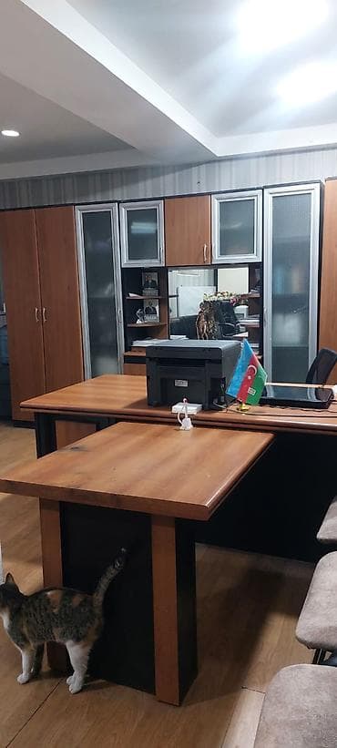 kiray: Ofis öz obyektimdir 50 kv bir zal 35 kv 15 kv köməkçi mətbəx sanuzel — 1