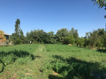 купить дом в азербайджане баку: 70 соток, Для бизнеса, Собственник, Купчая — 4