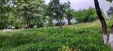 qala qesebesinde torpaq satisi: Satışda: yaşıllıqla əhatələnmiş torpaq sahəsi - Geniş, meyilli-yastı — 3