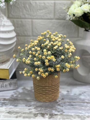 Vazalar: Bir vaza, Keramika — 3