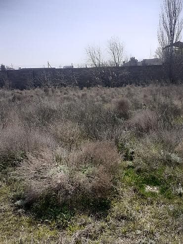 albalida torpaq satilir: 11 sot, Tikinti, Makler, Kupça (Çıxarış) — 2