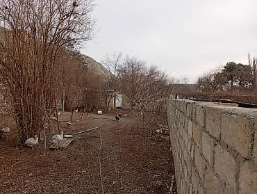 nabran ev: Mingəçevir, 100 kv. m, 3 otaqlı, Kanalizasiya, Qaz, Su — 8