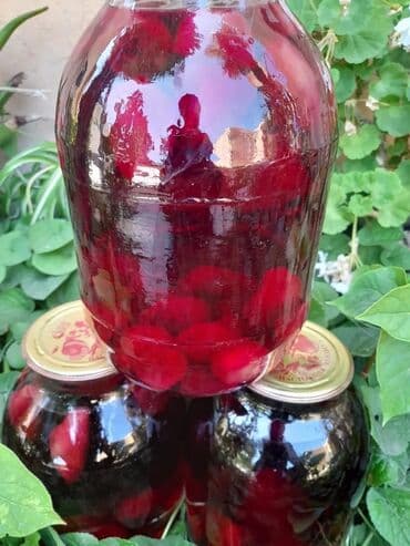 семена чиа баку: Kaktus meyvəsinin kompotu. Şəkər xəstələri üçün dərmandır. Çox — 3