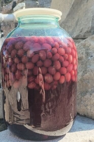 Məhsul: Zoğal likyor