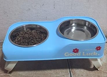agilli yem qabi: Yeni, pişik və it yemək və su qabısı. ikili keramik qab taxta altlıqla — 3
