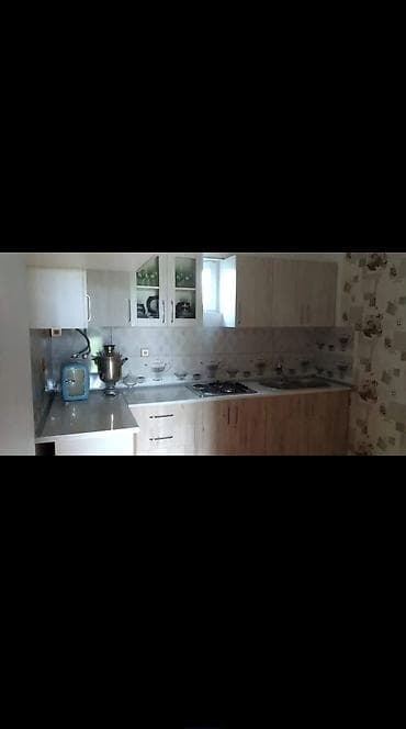 savalanda ucuz heyet evleri: Təhcizatlı həyət evi - Geniş yaşıllıqlı həyət: hündür hasar, darvaza — 2