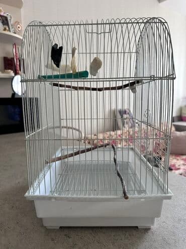 quş qəfəsi: Ağ rəngdə, qübbə formalı, metaldan hazırlanmış quş qəfəsi. Qəfəsin — 2