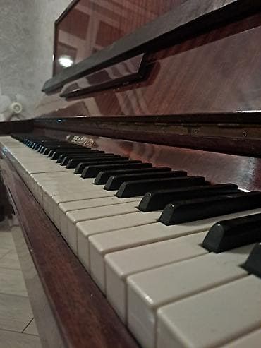 Piano, Belarus, Akustik, İşlənmiş, Ünvandan götürmə — 5