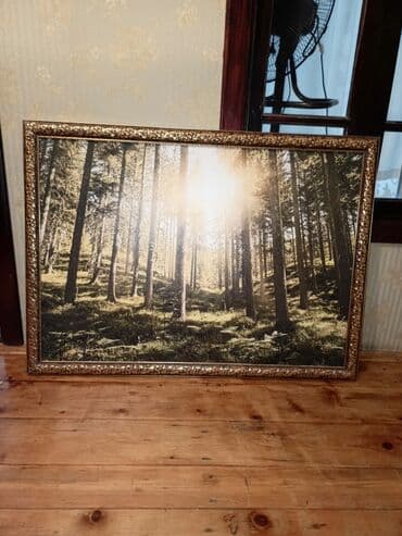 каталог обоев в баку: Dekorativ divar tablosu – Meşə mənzərəli - Mövzu: Günəş şüalarının — 1