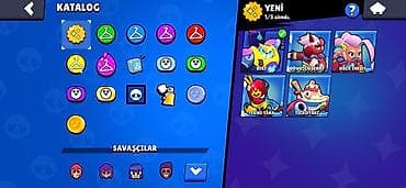 bil: Brawl Stars hesabı – yüksək irəliləyiş və zəngin kolleksiya WhatsApp — 7