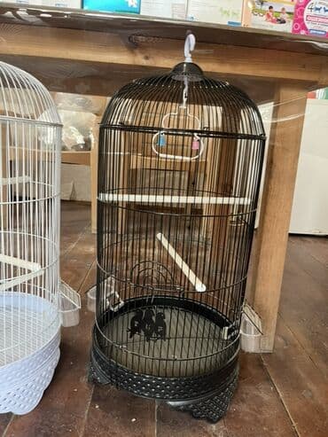 quş qəfəsləri: Quş qəfəsləri – dekorativ və funksional modellər - Formalar: dairəvi — 1