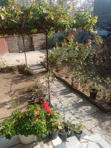 baki otel qiymetleri: İcarəyə təqdim olunur geniş və işıqlı otaq - İki ayrı tək çarpayı - — 24