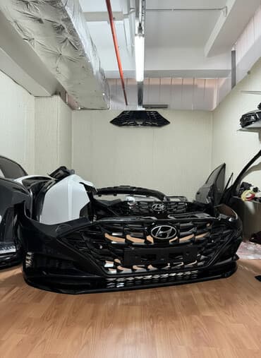 keçi dərisindən qadın şubaları: Hyundai sonata, 2020 il, İşlənmiş — 1