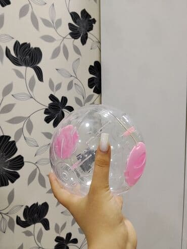 Xaltalar, qayışlar və tasmalar: Hamster və aksesuar dəsti - Növ: Uzun tüklü hamster (Suriya tipli) — 4