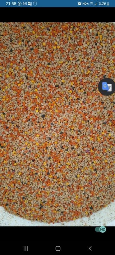 Çiçək tozu (çiçək poleni) Xurma poleni lalafo.az -da Çiçək tozu (çiçək poleni) Xurma poleni