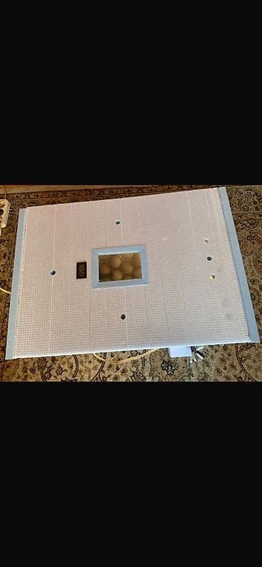 pekin: 120 yumurta tutumlu Yarimavtomat İstenilen quş növü üçün uygun — 1