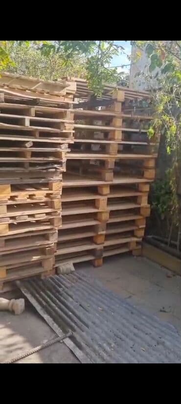 алчипан цена в баку: Satilir 55 eded.200manat xutor — 1