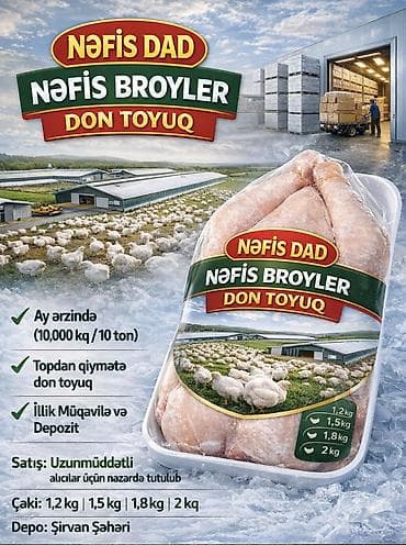 qaban eti: Digər brend Toyuq Bütöv, Topdan — 1