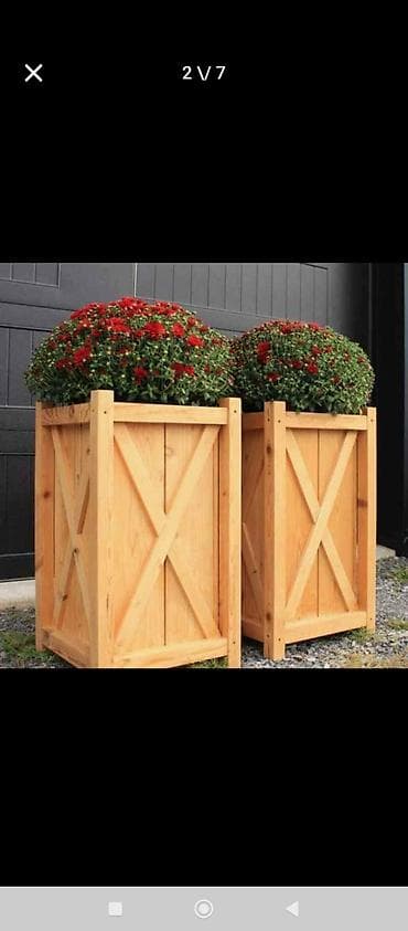 mal dili kaktus: Taxtalar ile ev, bağ, restoran, ofis, otel ve s. məkanlarınızın müasir — 5