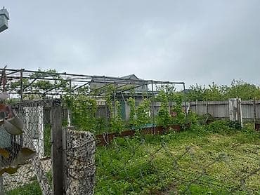 Mənzillər: Şamaxı, 140 kv. m, 5 otaqlı, Hovuzsuz, Qaz, İşıq, Su — 4