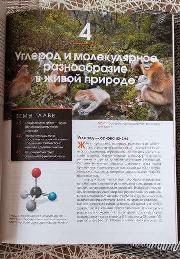 rustemov fizika kitabi pdf: Biologiya sahəsində tamamilə yeni müasir kitab, 2 cild, sərt üzlü — 4