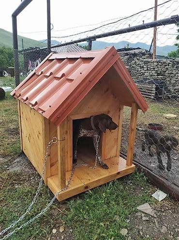 ev pisik: Taxta it evi - Material: keyfiyyətli təbii ağac (taxta panellər) — 1