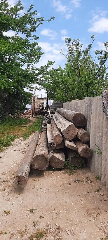 kedr agaci: Ağac şalban və kötüklər dəstəsi - Material: bərk ağac gövdələri — 1