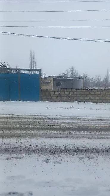 28 mayda satilan evler: 65 sot, Kənd təsərrüfatı — 5