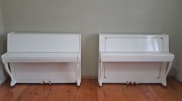 флейта музыкальный инструмент: Пианино, Акустический — 6