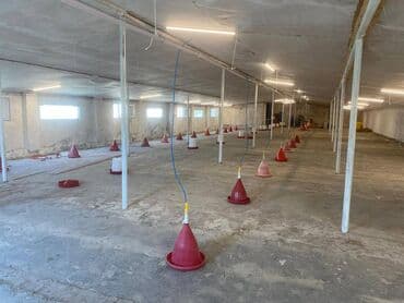 ZİL: 8000-den çox toyuq tutumuna malikdir Elave olaraq 500 kvm anbar yeri — 3