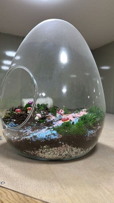 dekor guldan: Şüşə terrarium – yumurta formalı böyük akvarium tipli qabda miniatür — 1