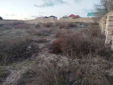 naxcivanskide kiraye evler: 12 sot, Tikinti, Maklerlər narahat etməsin, Kupça (Çıxarış) — 1