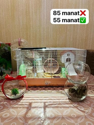 Qəfəs.Xamyaq çunqarik qəfəsi. Qəfəs+2 çarxı + 2su qabısı + 2yuvası + lalafo.az -da Qəfəs.Xamyaq çunqarik qəfəsi. Qəfəs+2 çarxı + 2su qabısı + 2yuvası +