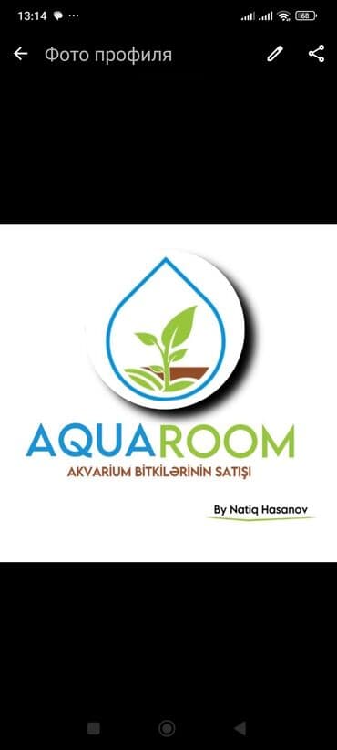 Çöl bitkiləri: AQUAROOM – Akvarium bitkilərinin satışı Akvaryumunuz üçün canlı — 1